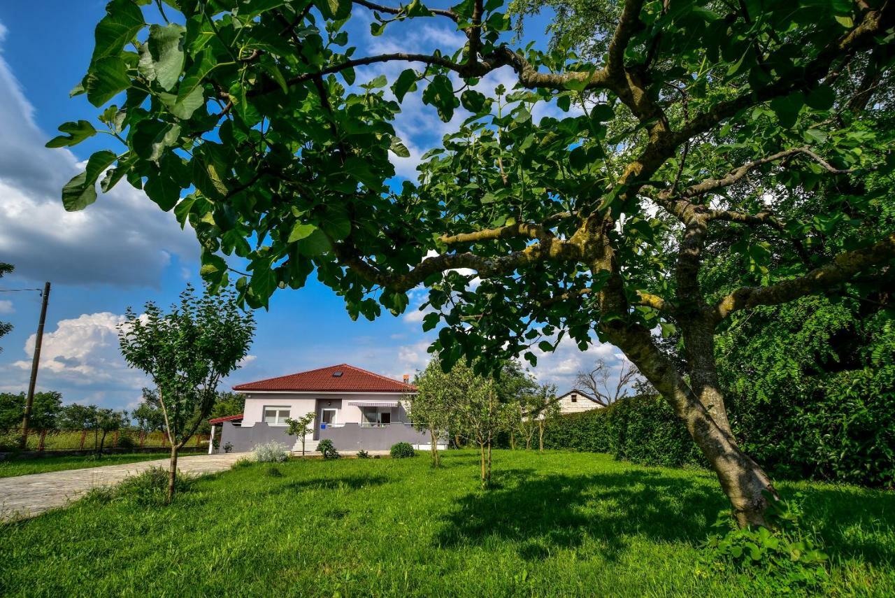 Ankin Dvor Villa Galovac  Kültér fotó